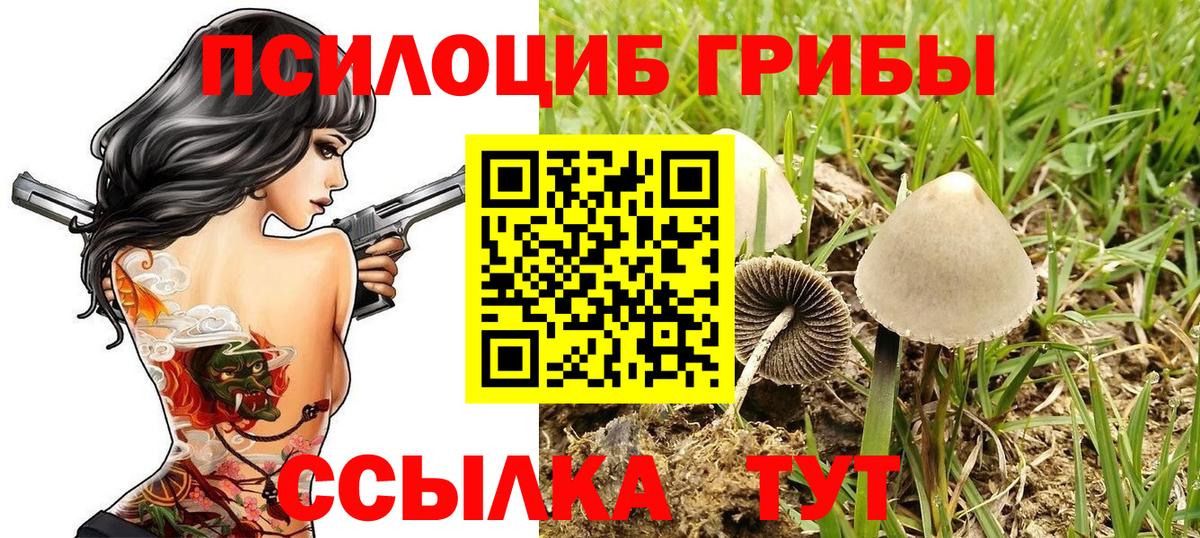 Петрозаводск  Галлюциногенные грибы мухоморы  Вход с VPN 