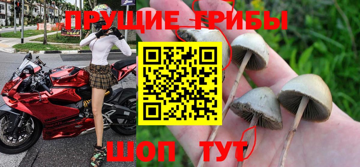 Псилоцибиновые грибы MAGIC MUSHROOMS Петрозаводск